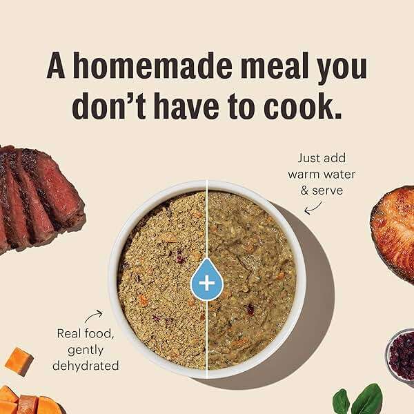 The Honest Kitchen Human Grade Wholemade™ Dehydrated Whole Grain Dog Food - Complete & Balanced Meal or Topper - Chicken 10 lb Box - Image 3