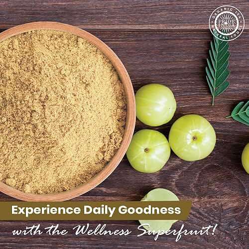Pride of India – Amla Powder – Gourmet Spice – Tangy & Savory – Pure Indian Gooseberry Ground – Antioxidant Rich – GMO/Gluten Free – Easy to Use – 7 oz. Medium Dual Sifter Jar - Image 3