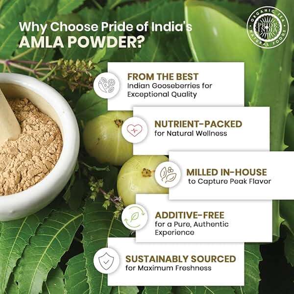 Pride of India – Amla Powder – Gourmet Spice – Tangy & Savory – Pure Indian Gooseberry Ground – Antioxidant Rich – GMO/Gluten Free – Easy to Use – 7 oz. Medium Dual Sifter Jar - Image 4