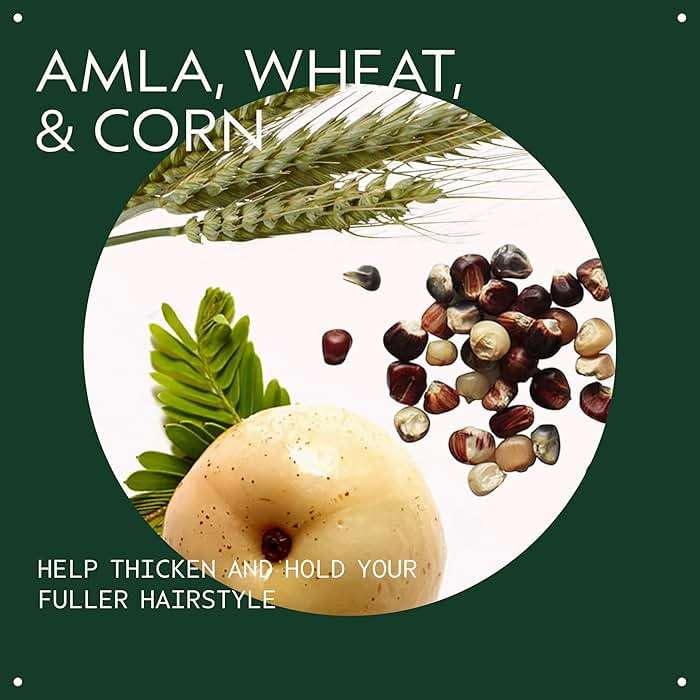 Aveda Thickening Tonic | Instantly Thickens Hair | Spray for Thin and Fine Hair | with Wheat, Corn, and Certified Organic Amla | 96% Naturally Derived* - Image 3