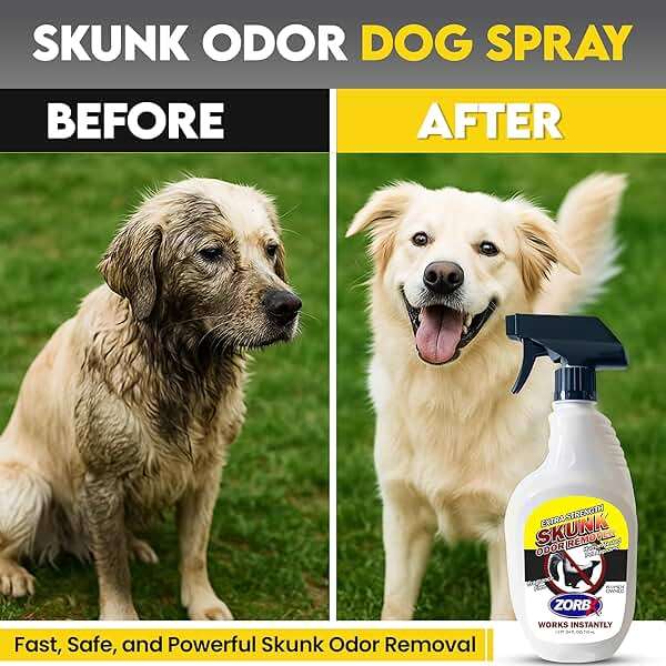 ZORBX Unscented Skunk Odor Remover Spray 24 FL Oz – Fast Acting Skunk Smell Removal - Extra Strength Pet Skunk Odor Remover for Dogs, House, Car, Clothes & Furniture - Image 3