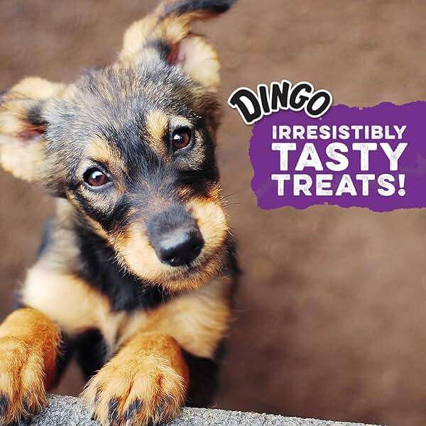 Dingo Twist Sticks Rawhide for Dogs, Made with Real Chicken, 50 Count - Image 3