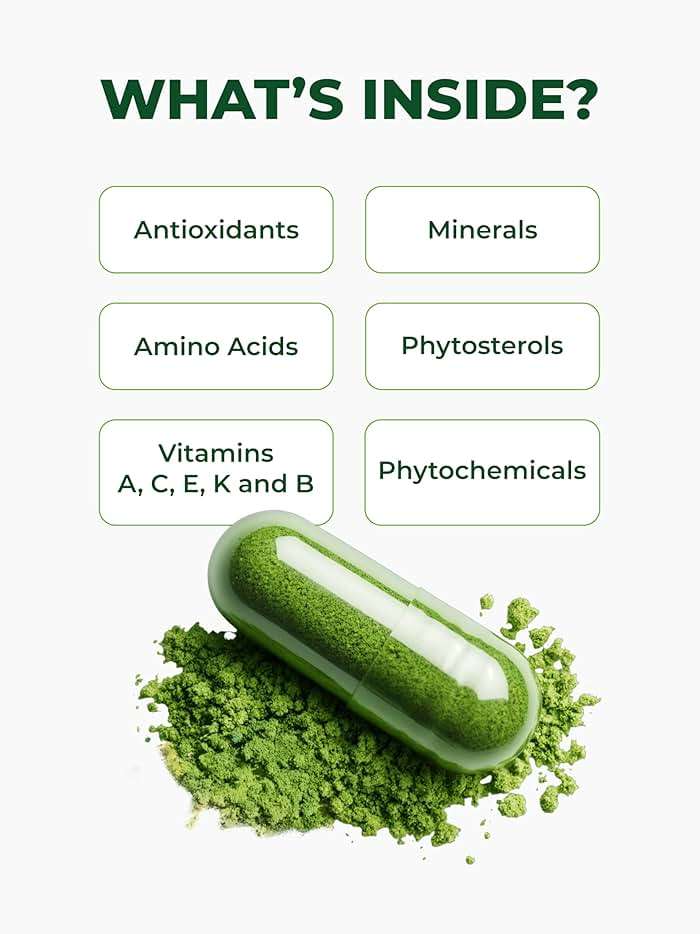 PURA VIDA MORINGA Organic Moringa Capsules, Pure Moringa Leaf Powder Single Origin for Energy, Metabolism & Immune Support, 120ct, 500mg Caps - Image 6