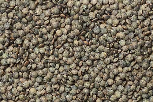 Hunza Organic French Lentils (2 lbs) - Image 9