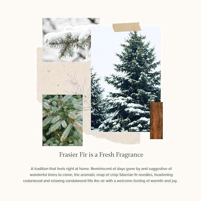 Thymes Frasier Fir Pine Needle Candle – Holiday Candles for Home Scented with Notes of Crisp Siberian Fir, Cedarwood & Sandalwood – Christmas Decor – Christmas Gifts for Women & Men (6.5 oz) - Image 3