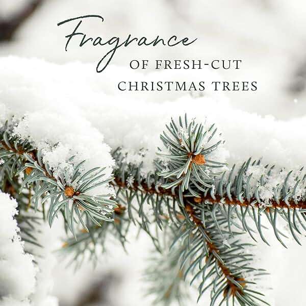 Thymes Frasier Fir Pine Needle Candle – Holiday Candles for Home Scented with Notes of Crisp Siberian Fir, Cedarwood & Sandalwood – Christmas Decor – Christmas Gifts for Women & Men (6.5 oz) - Image 6