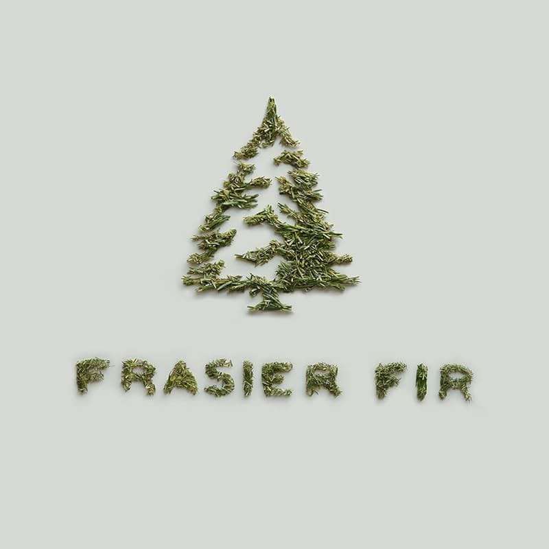 Thymes Frasier Fir Pine Needle Candle – Holiday Candles for Home Scented with Notes of Crisp Siberian Fir, Cedarwood & Sandalwood – Christmas Decor – Christmas Gifts for Women & Men (6.5 oz) - Image 9
