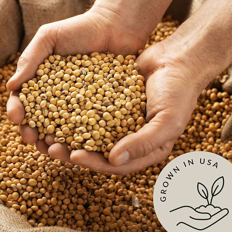 Be Still Farms Organic Soybeans Bulk (4.8 lb) - Soy Beans Dry - aka Soya Nuts Great for Edamame, Soy Milk, Tofu - High in Protein Fiber | USA Grown | USDA Certified | Vegan | Non-GMO | Gluten Free - Image 4