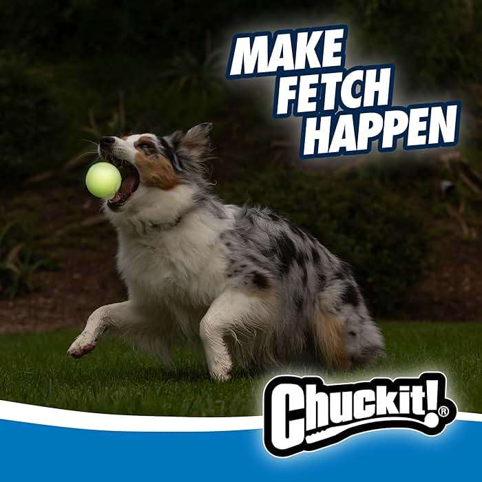 Chuckit! Pro Fetch Toy Dog Ball Launcher For Dogs; Compatible With Any Medium Chuckit! Medium Size 25 Inch + Glow Ball - Image 2