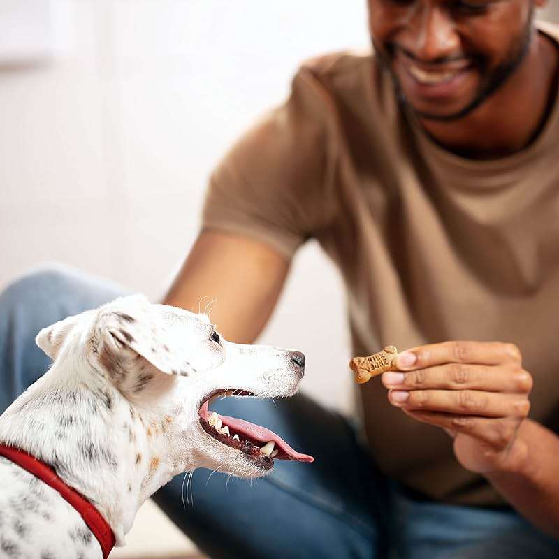 Milk-Bone Flavor Snacks Mini’s Dog Biscuits, Flavored Crunchy Dog Treats, 36 Oz. Canister - Image 7