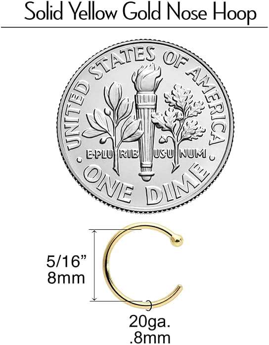 Body Candy Solid 18k Gold Nose Hoop Nose Ring, Real Gold Hypoallergenic Nose Piercing Jewelry - Handmade in USA by Master Jeweler, 20 Gauge 5/16" - Image 6