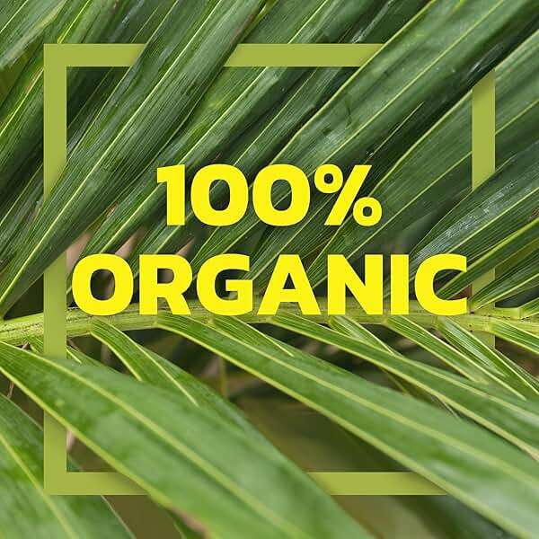 Native Forest Organic Unsweetened Coconut Milk - Canned Coconut Milk, No Guar Gum, Non-GMO Project Verified, USDA Organic - Simple, 13.5 Fl Oz (Pack of 12) - Image 3