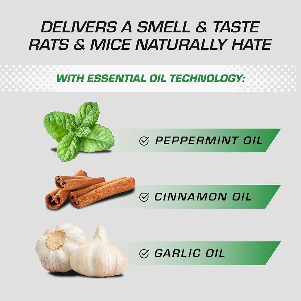 Tomcat Repellents Rodent Repellent Ready-to-Use with Comfort Wand - For Indoor and Outdoor Mouse and Rat Prevention, Peppermint Oil Spray for Rodents with Cinnamon & Garlic Essential Oils, 1 gal. - Image 2