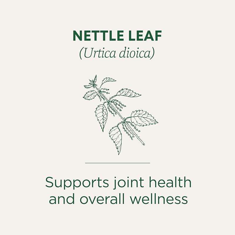 Traditional Medicinals Organic, Nettle Tea - Supports Joint Health & Overall Wellness with Stinging Nettle - Kosher, Non-GMO, Caffeine-Free, Compostable - 16 Tea Bags - Image 3