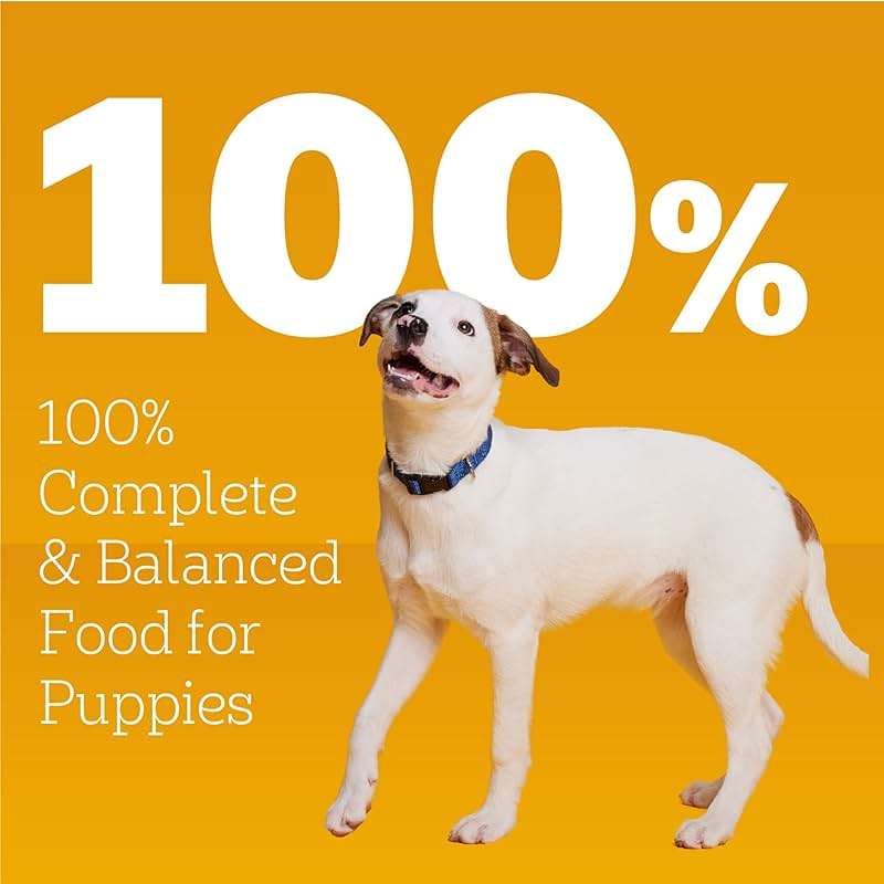 Pedigree Puppy Chopped Ground Dinner Wet Puppy Food with Chicken & Beef, Canned Dog Food, 13.2 oz. Cans, 12 Count - Image 11