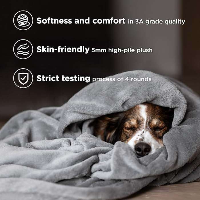 Bedsure GentleSoft Fleece Bed Blankets Queen Size Grey - Soft Warm Outdoor Picnic Blanket for Camping Travel Lightweight Cozy Anti-Static, Room Home Decor Gifts for Husband and Men, 90x90 inches - Image 4