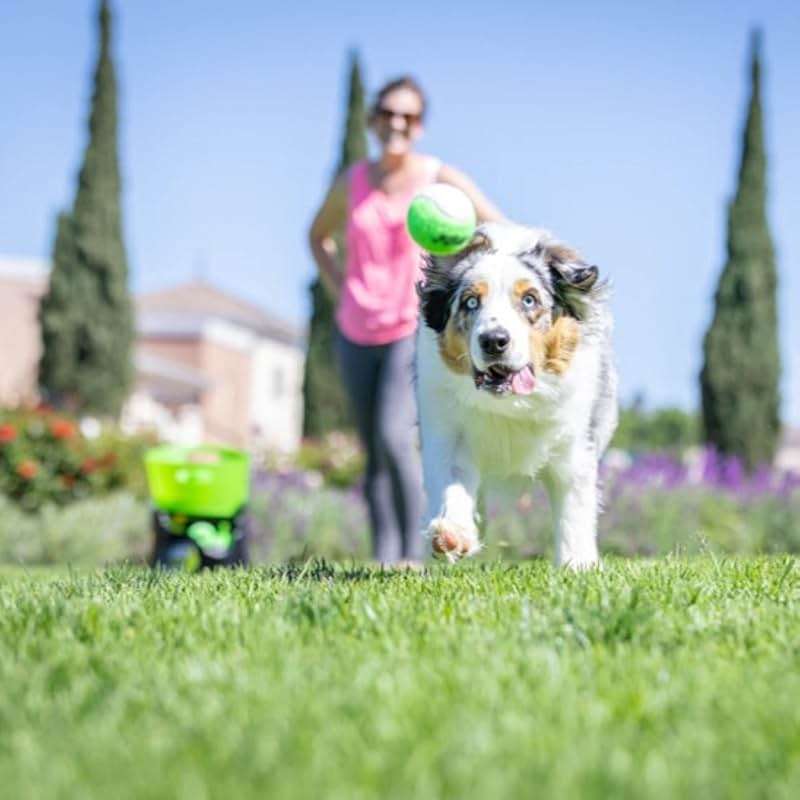 Hyper Pet GoDogGo Fetch Machine Dog Ball Launcher & Automatic Ball Launcher for Dogs With Five 2.5" Balls for Dogs 20-60 Pounds - Image 9