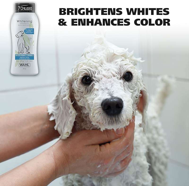 Wahl USA Whitening Shampoo White Pear scent for Pets – Whitening & Animal Odor Control with Silky Smooth Results for Grooming Dirty Dogs – 24 oz - Model 820001A - Image 9