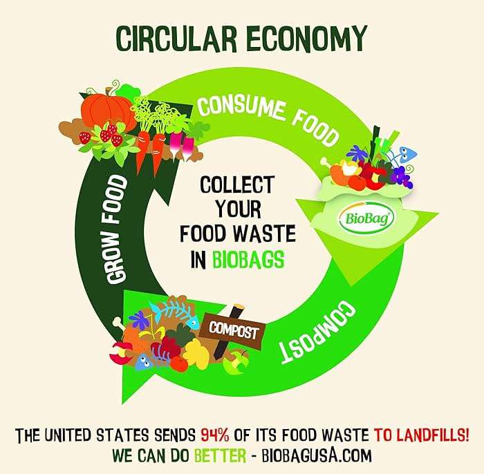 BioBag (USA) The Original Compostable Bag, 8 Gallon, 500 Count, 100% Certified Compostable Trash Bag Liners for Food Waste, Extra Strong and Durable - Image 5
