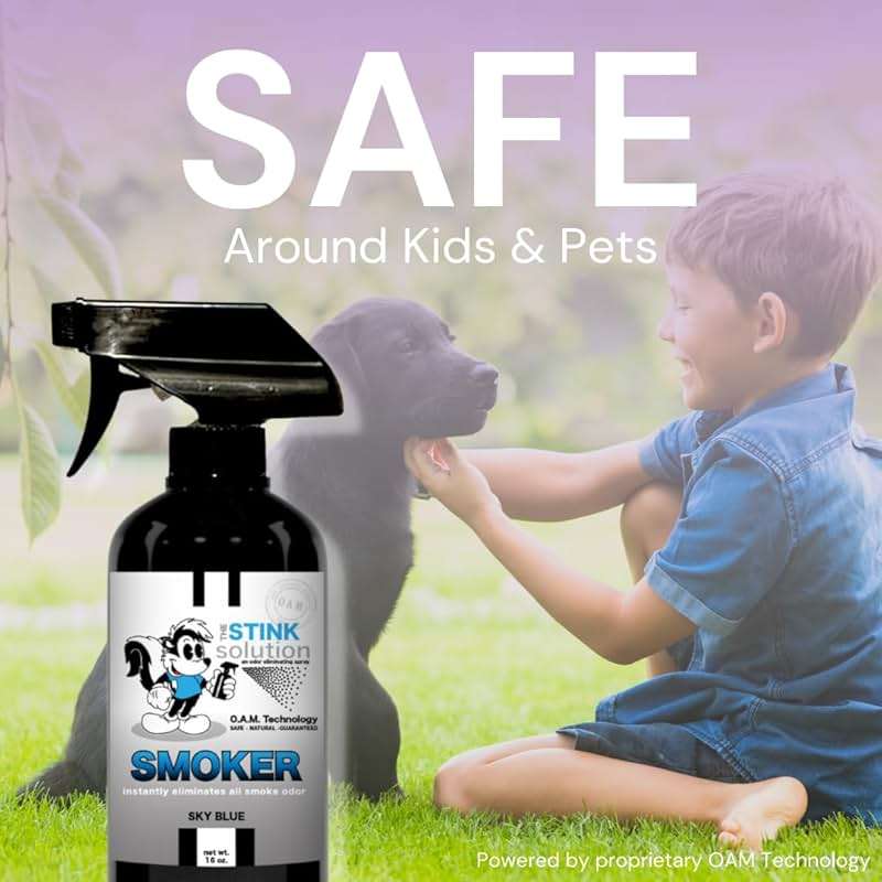 The Stink Solution Smoke Odor Eliminator Spray - Completely Remove Smoke Smell From House, Car, Clothes, Hands, Hair, & More - Best Odor Eliminator For Smoke - Bamboo Teak Fragrance - 2 16 oz Bottles - Image 6
