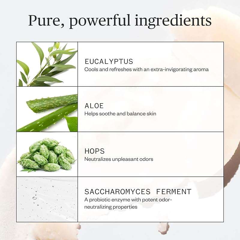 Ursa Major Hoppin' Fresh Deodorant | Natural, Aluminum-Free, Non-toxic, Cruelty-Free | Formulated for Men and Women | 2.6 ounce - Image 4