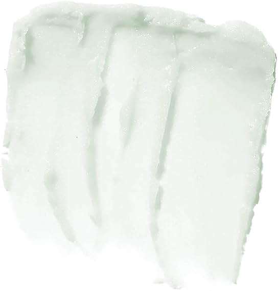 e.l.f. Lip Exfoliator, Mint Maniac, 0.11 oz. (82512) - Image 5