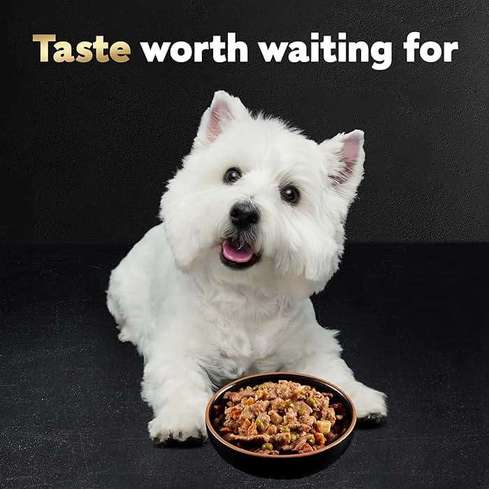 Cesar Home Delights Adult Wet Dog Food, Pot Roast with Spring Vegetables, Beef Stew, Turkey, Green Beans, & Potatoes, and Hearty Chicken & Noodle Dinner in Sauce Variety Pack, 3.5 oz. 24 Count - Image 8