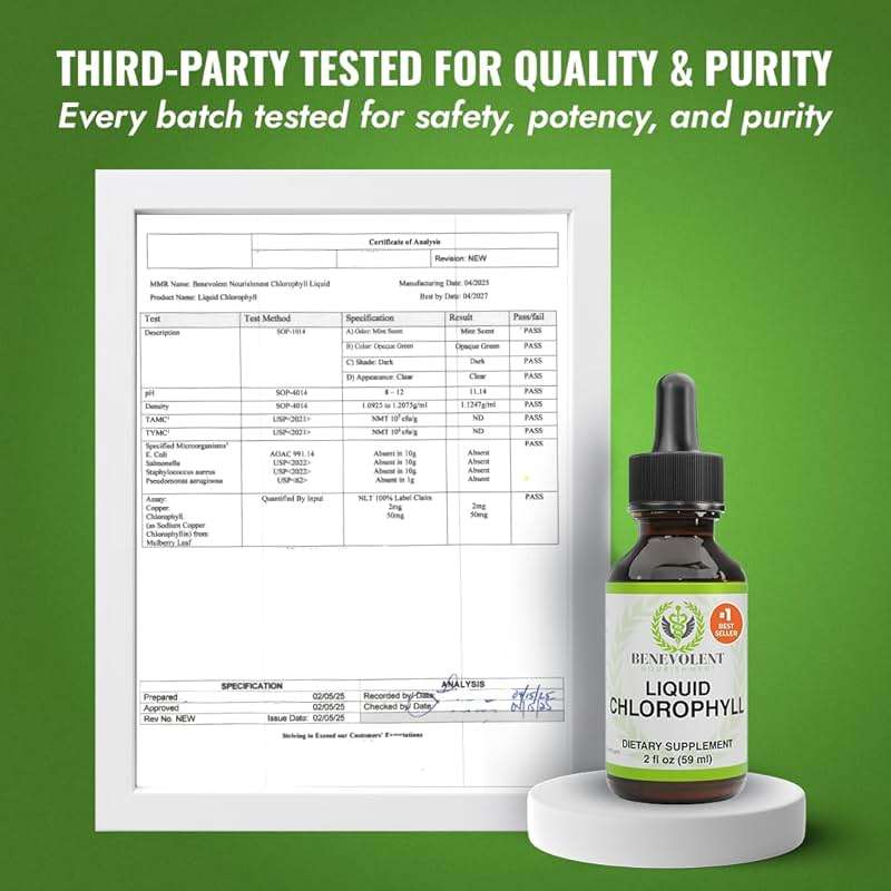 Benevolent Nourishment Chlorophyll Supplement, Detox & Immune Support, Internal Deodorizer, Liquid Drops - Image 6