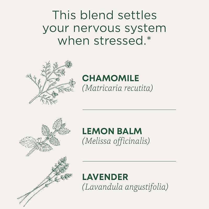 Traditional Medicinals Organic, Chamomile & Lavender - Chamomile Tea Supporting Stress Relief and Relaxation - Kosher, Non-GMO, Caffeine-Free, Compostable - 16 Tea Bags - Image 4