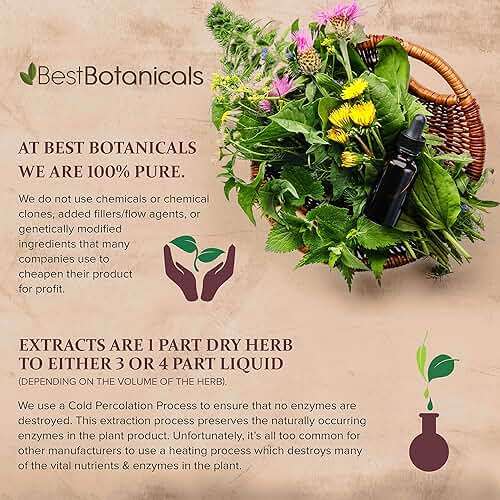 Best Botanicals Wild Yam Root Cut 16 oz. - Image 3