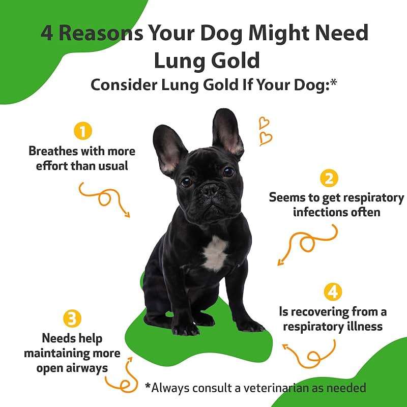 Pet Wellbeing Lung Gold for Dogs - Respiratory Support for Canine Lungs, Healthy Immune Defenses, Lower Respiratory Tract - NASC Certified & Vet-Formulated - 2 oz Liquid - Image 3