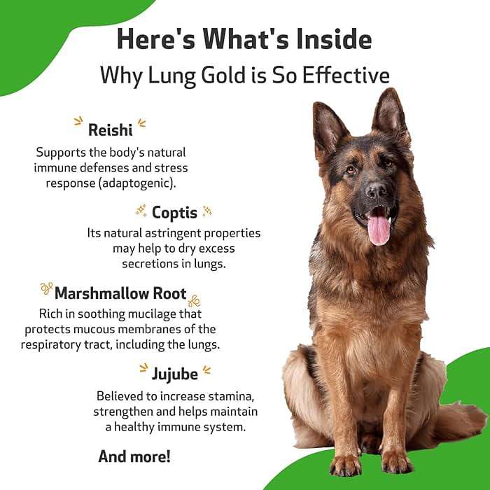Pet Wellbeing Lung Gold for Dogs - Respiratory Support for Canine Lungs, Healthy Immune Defenses, Lower Respiratory Tract - NASC Certified & Vet-Formulated - 2 oz Liquid - Image 6
