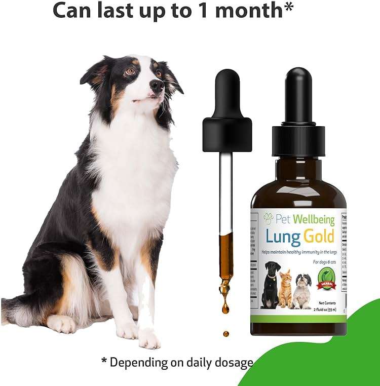 Pet Wellbeing Lung Gold for Dogs - Respiratory Support for Canine Lungs, Healthy Immune Defenses, Lower Respiratory Tract - NASC Certified & Vet-Formulated - 2 oz Liquid - Image 7