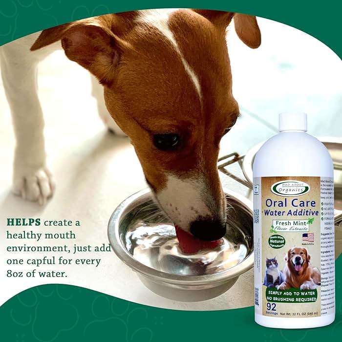 Mad About Organics Oral Care Water Additive for Cats & Dogs – Gentle Dental Support – Reduces Breath Odors, Promotes Gum Health – No Brushing – Convenient for Daily Use, Fresh Mint Flavor, 32 FL oz - Image 4