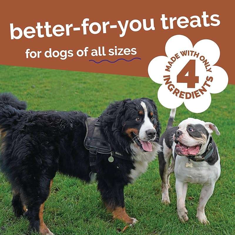 Fruitables Whole Jerky Bites, Healthy Dog Treats, Puppy Essentials, Jerky Dog Treats, Made in the USA, No Artificial Ingredients, Grilled Bison & Apple Flavor, 5oz - Image 5