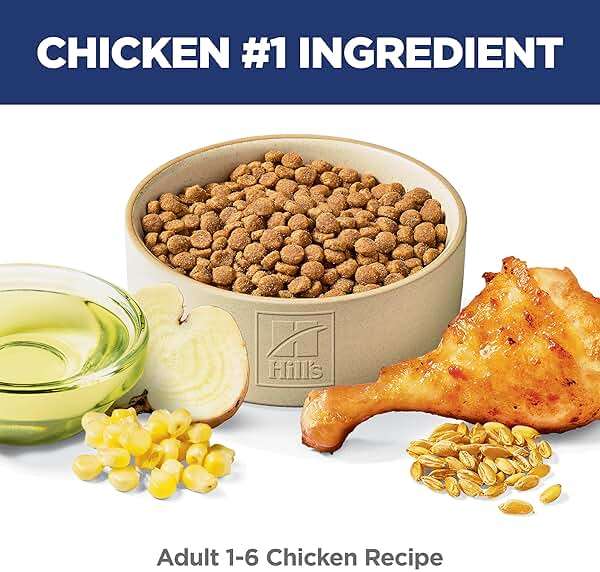 Hill's Science Diet Adult 1-6 Dry Cat Food, Chicken, 16 lb. Bag - Image 3