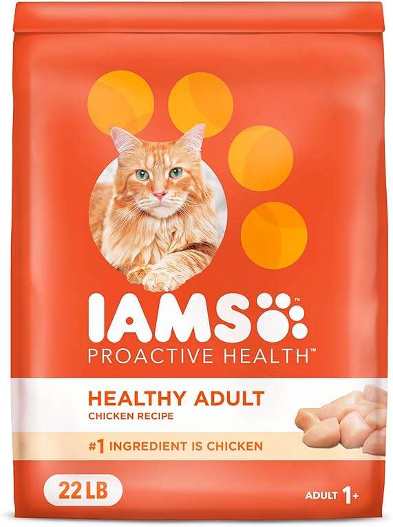 IAMS Proactive Health Dry Cat Food, Healthy Cat Food Dry Recipe for Adults, with Chicken 22 lb. Bag - Image 1