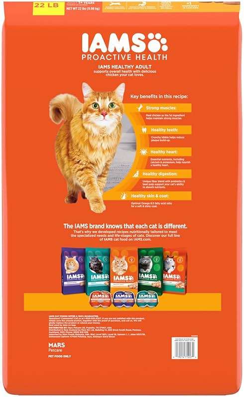 IAMS Proactive Health Dry Cat Food, Healthy Cat Food Dry Recipe for Adults, with Chicken 22 lb. Bag - Image 2