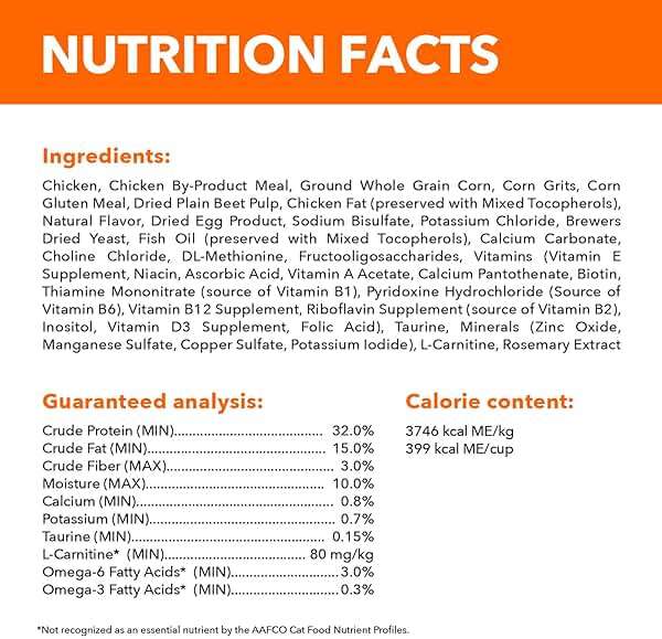IAMS Proactive Health Dry Cat Food, Healthy Cat Food Dry Recipe for Adults, with Chicken 22 lb. Bag - Image 5