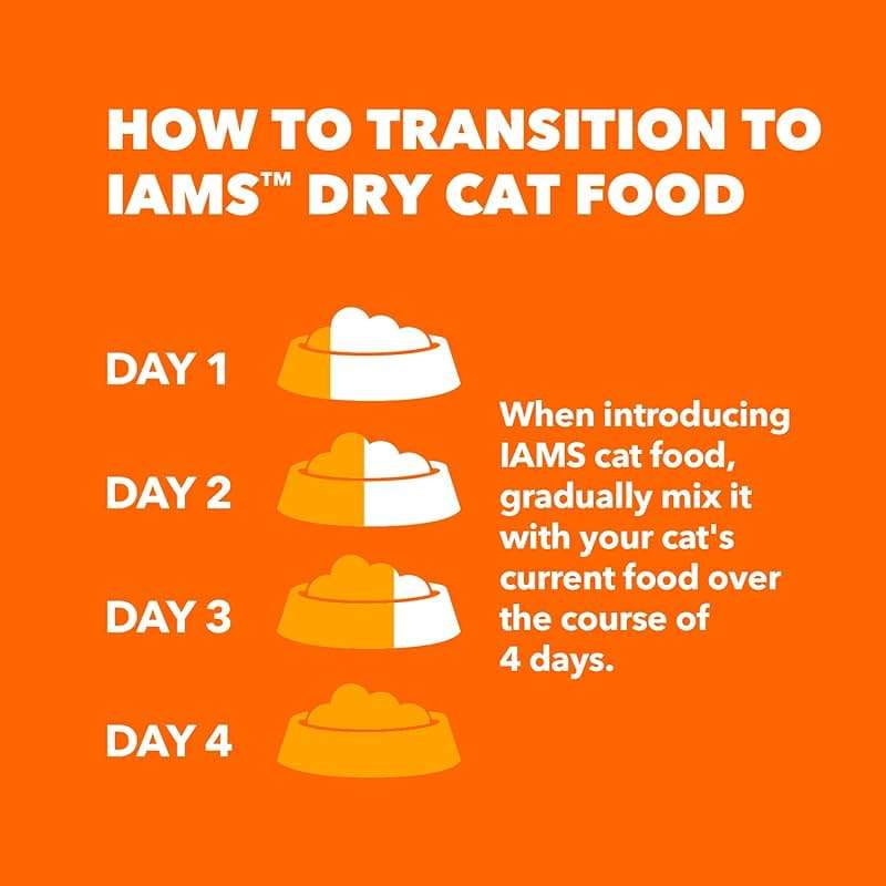 IAMS Proactive Health Dry Cat Food, Healthy Cat Food Dry Recipe for Adults, with Chicken 22 lb. Bag - Image 7