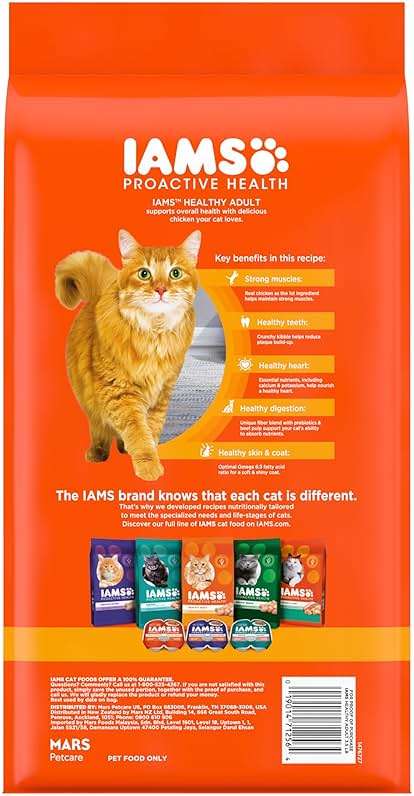 IAMS Proactive Health Dry Cat Food, Healthy Cat Food Dry Recipe for Adults, with Chicken 3.5 lb. Bag - Image 2