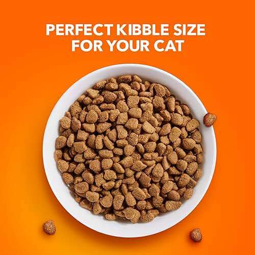 IAMS Proactive Health Dry Cat Food, Healthy Cat Food Dry Recipe for Adults, with Chicken 3.5 lb. Bag - Image 11