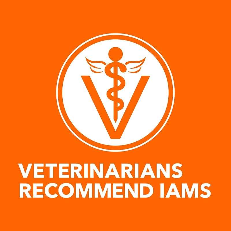 IAMS Proactive Health Dry Cat Food, Healthy Cat Food Dry Recipe for Adults, with Chicken 3.5 lb. Bag - Image 5