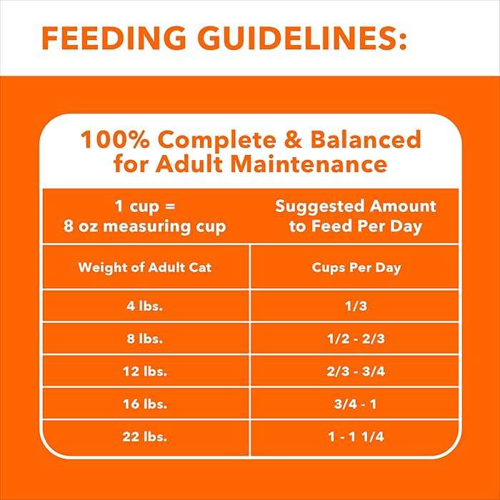 IAMS Proactive Health Dry Cat Food, Healthy Cat Food Dry Recipe for Adults, with Chicken 3.5 lb. Bag - Image 7