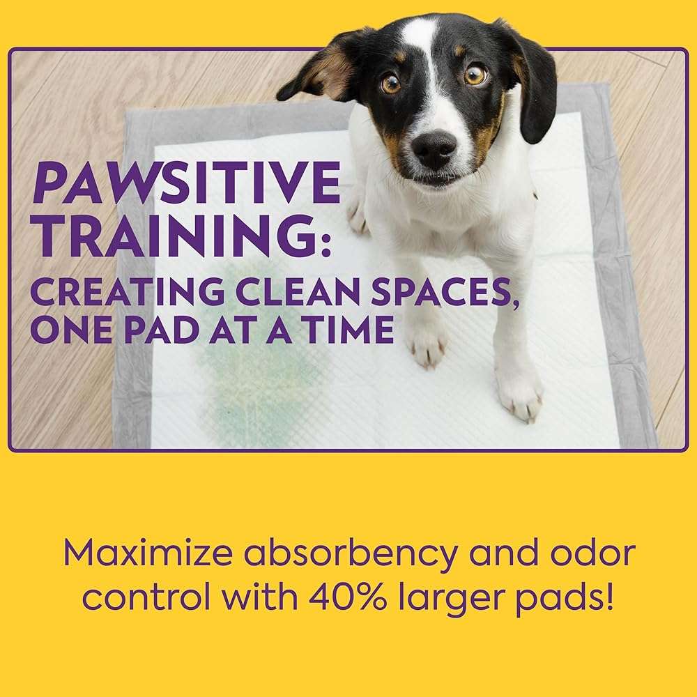 OUT! PetCare XL Training Pads, Leak-Proof Disposable Pee Pads for Dogs, Potty Training with Odor Control, Extra Absorbent, Housebreaking, Dog Crate & Travel, Puppy Essentials 26"x24", 60 Count - Image 5