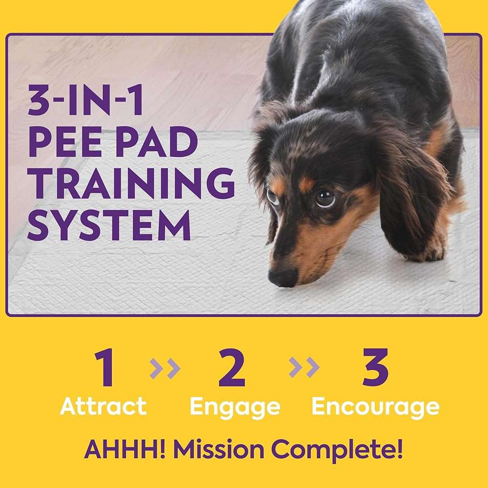 OUT! PetCare XL Training Pads, Leak-Proof Disposable Pee Pads for Dogs, Potty Training with Odor Control, Extra Absorbent, Housebreaking, Dog Crate & Travel, Puppy Essentials 26"x24", 60 Count - Image 6