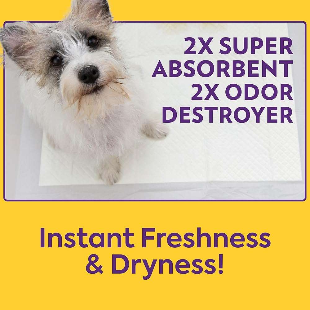 OUT! PetCare XL Training Pads, Leak-Proof Disposable Pee Pads for Dogs, Potty Training with Odor Control, Extra Absorbent, Housebreaking, Dog Crate & Travel, Puppy Essentials 26"x24", 60 Count - Image 7