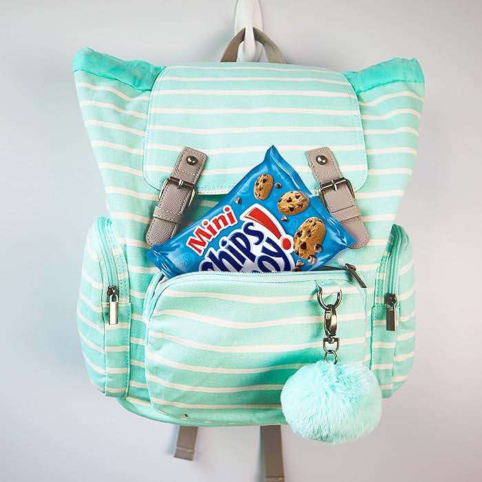 Nabisco Snacks Variety Pack, OREO Minis, Nutter Butter Bites, CHIPS AHOY! Minis Cookies, and RITZ Bits Cheese Sandwich Crackers, 20 Snack Packs - Image 6