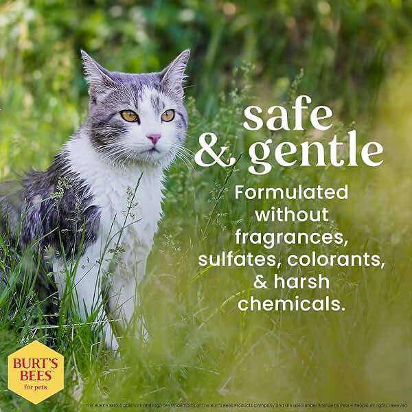 Burt’s Bees for Pets Hypoallergenic Cat Shampoo with Shea Butter and Honey, Gentle Kitten Shampoo for Indoor Cats with Dry or Sensitive Skin, Cat Bathing Supplies, 10 Fl Oz - Image 4