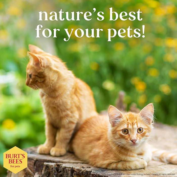 Burt’s Bees for Pets Hypoallergenic Cat Shampoo with Shea Butter and Honey, Gentle Kitten Shampoo for Indoor Cats with Dry or Sensitive Skin, Cat Bathing Supplies, 10 Fl Oz - Image 6